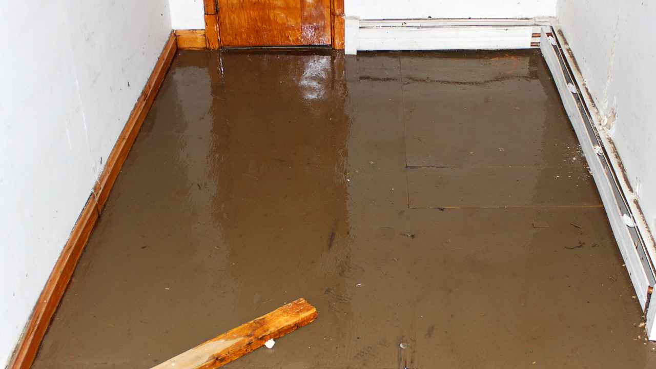 Flood Damage Restoration Near Me