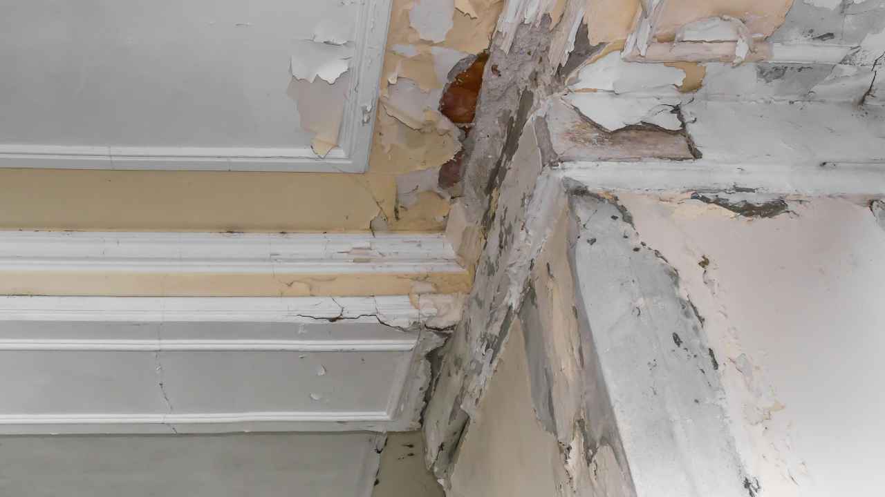 Water Damage Cleanup Near Me
